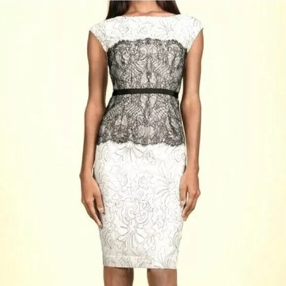 The Limited Dresses Limited Scandal Dress 6 Lace Sheath Olivia
